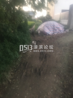 IMG_0709 (293x390).jpg