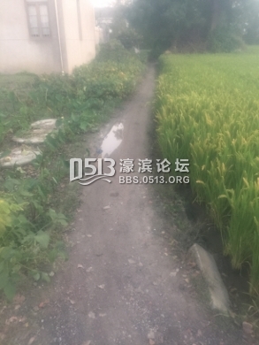 IMG_0712 (293x390).jpg