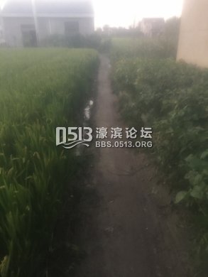 IMG_0711 (293x390).jpg