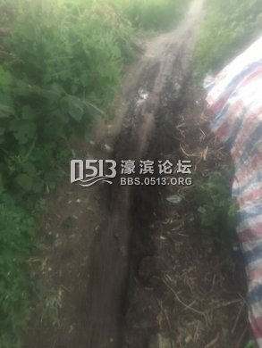 IMG_0710 (293x390).jpg