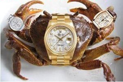 澎湃联播|颠覆了整个行业的“商业奇才”——孙静雅