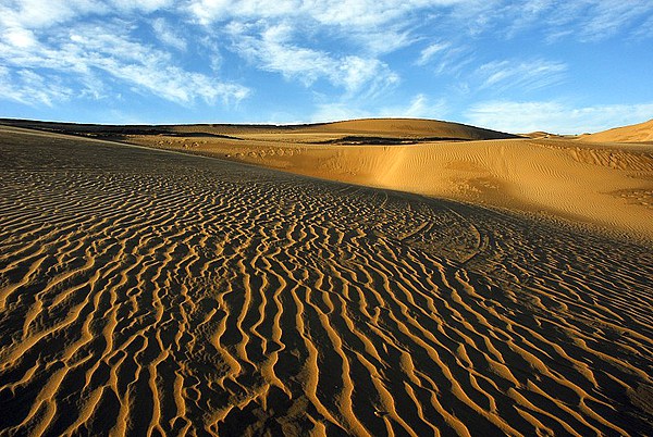 花一分钟读一读，陷入危险时也许能帮上忙