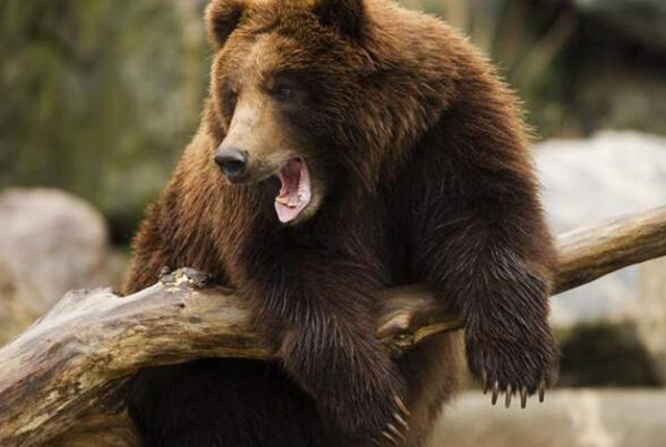 花一分钟读一读，陷入危险时也许能帮上忙