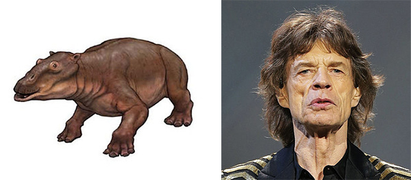 有一只昆虫名叫强尼·戴普