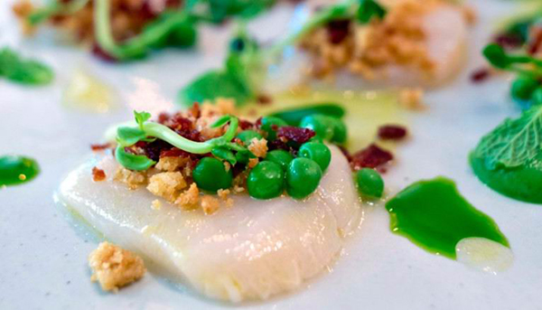 新加坡又开了11家新餐厅，买张机票一家家吃过来吧