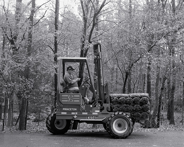 趣看|当手机从照片中被剥离，生活还是现在这样吗？