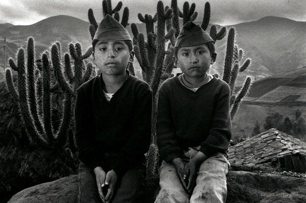 眼光|见证暴行之后，要如何安然无恙回到现实生活？