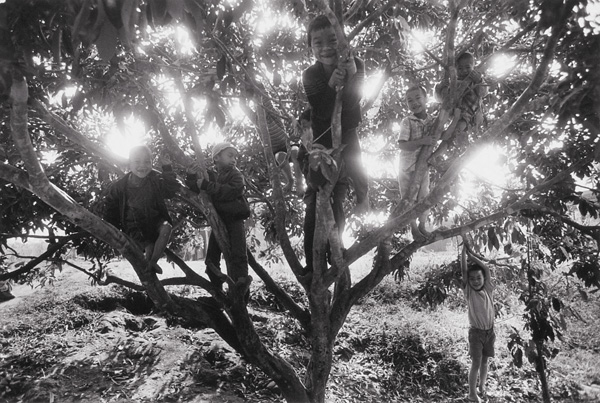 眼光|见证暴行之后，要如何安然无恙回到现实生活？