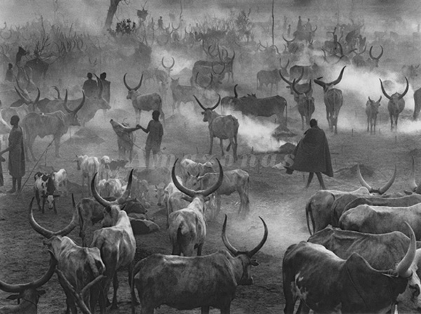 眼光|见证暴行之后，要如何安然无恙回到现实生活？