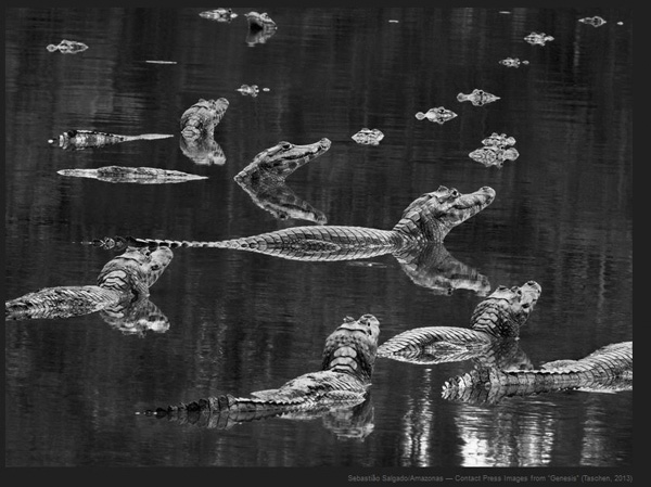 眼光|见证暴行之后，要如何安然无恙回到现实生活？