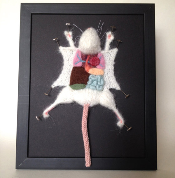 脑洞大开的她，开膛破肚的外星人和Hello Kitty