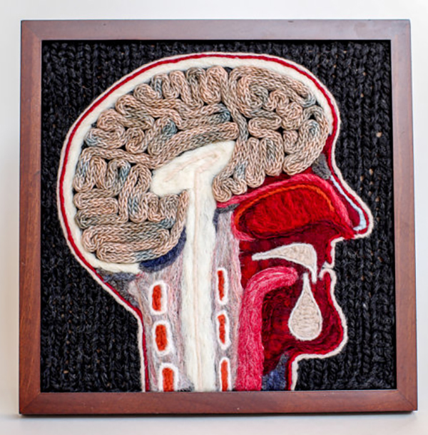 脑洞大开的她，开膛破肚的外星人和Hello Kitty