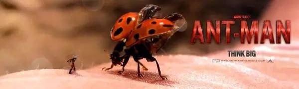 超能“小”英雄：蚁人及其他小小小小小小伙伴们