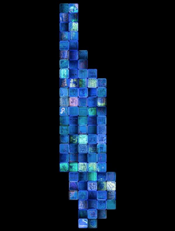 不止一花一世界，装满微生物的培养皿也是一个世界