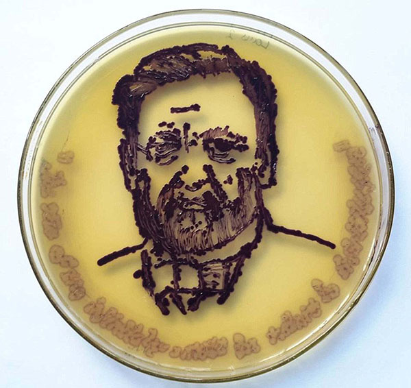 不止一花一世界，装满微生物的培养皿也是一个世界