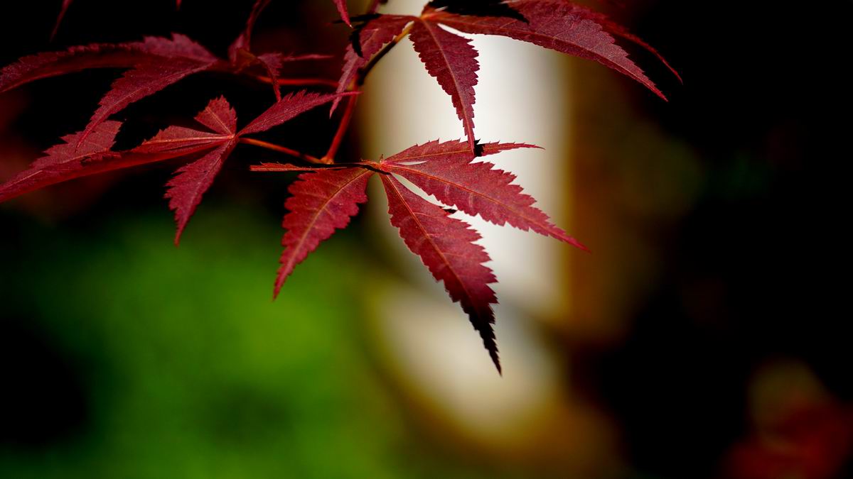 调整大小 DSC06840_副本.jpg