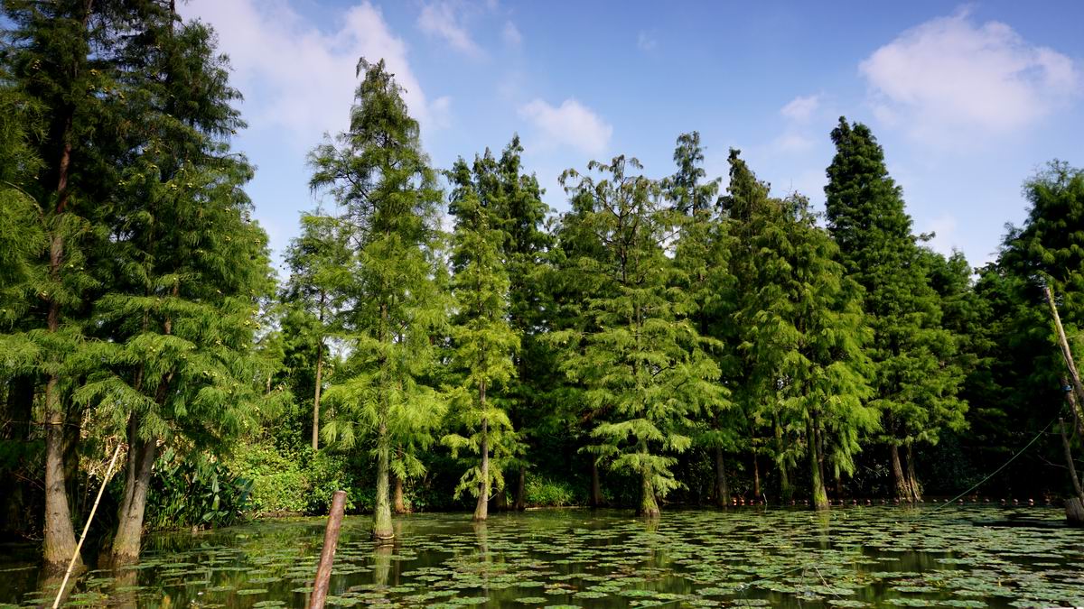 调整大小 DSC07098_副本.jpg