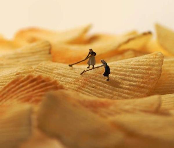 藏在生活中的美，日用品中的微型世界