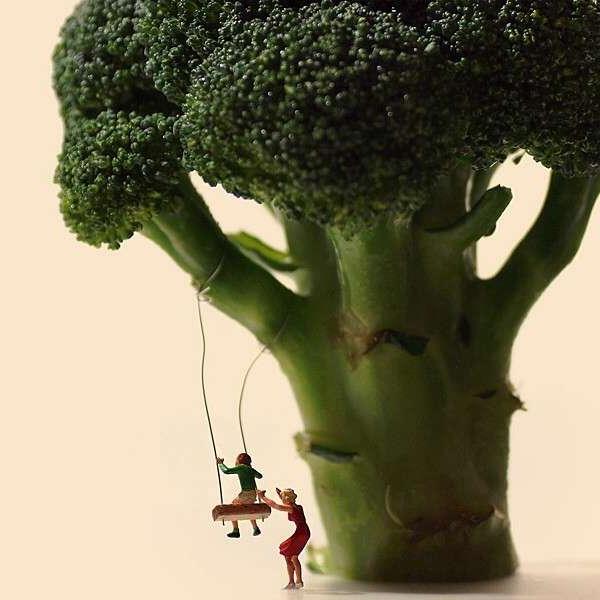 藏在生活中的美，日用品中的微型世界