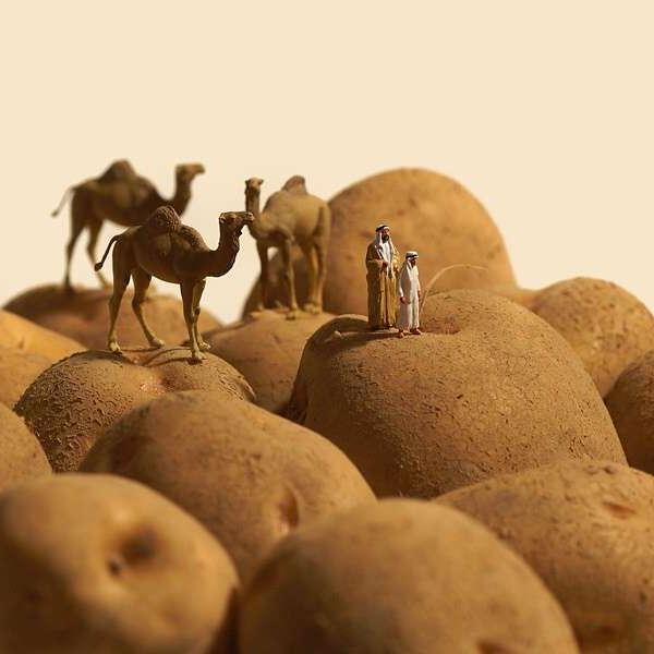 藏在生活中的美，日用品中的微型世界