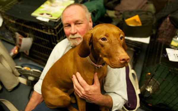 趣看| 十招教会你如何拍好汪宠？