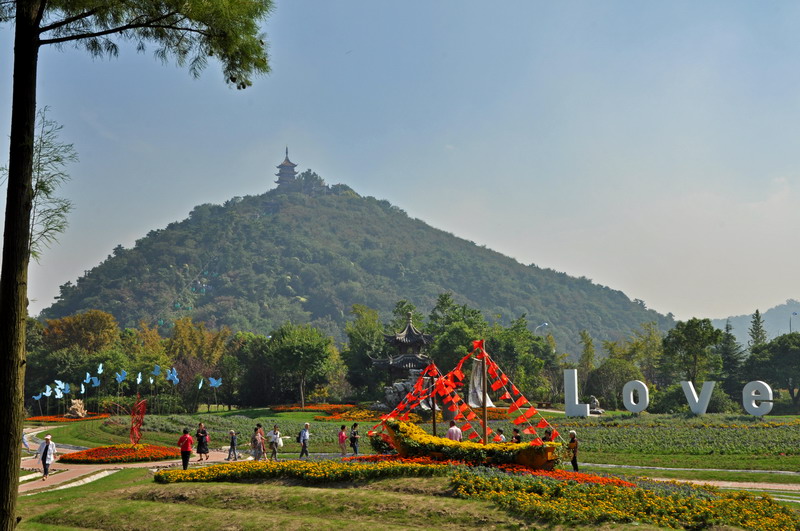 DSC_6162_缩小大小.JPG