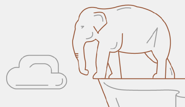 动物真的会自杀吗？