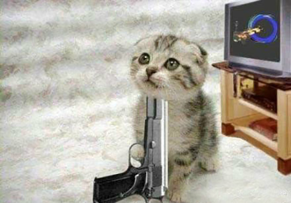 动物真的会自杀吗？