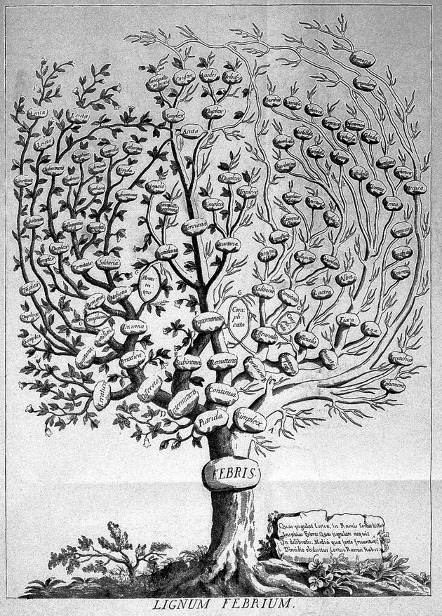 发烧的文化史：古老的恐惧从未消退