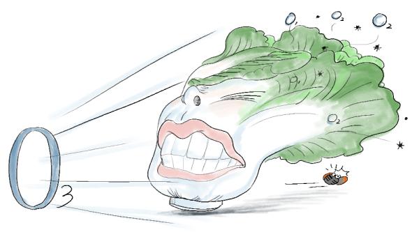 【问答】果蔬解毒机真可以去除农药残留？