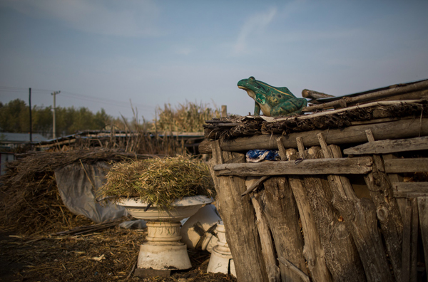 村庄里的中国：打动马云的摄影展，到底展了什么？