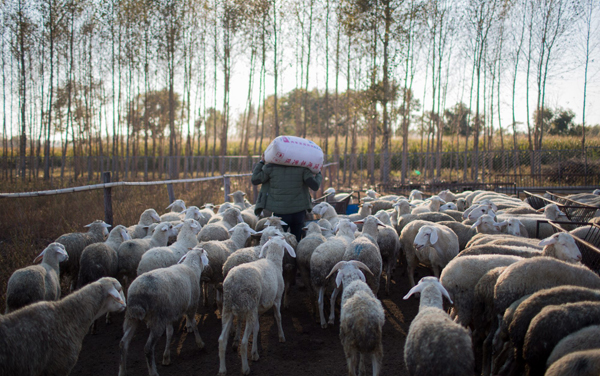 村庄里的中国：打动马云的摄影展，到底展了什么？