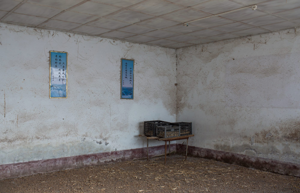 村庄里的中国：打动马云的摄影展，到底展了什么？