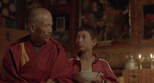 《家在水草丰茂的地方》：因为生硬而磨灭的生命力