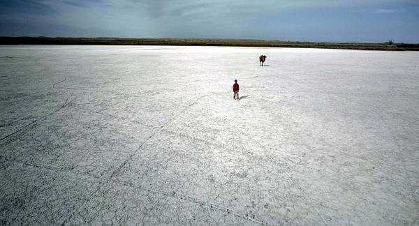 《家在水草丰茂的地方》：因为生硬而磨灭的生命力