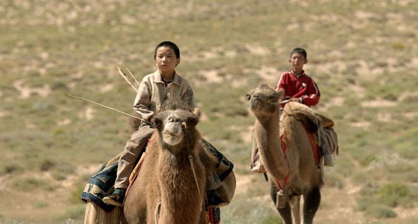 《家在水草丰茂的地方》：因为生硬而磨灭的生命力
