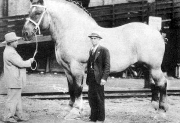 这些照片也许不会出现在历史书上，但却是时代忠实的记录