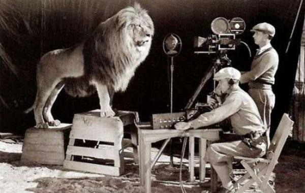 这些照片也许不会出现在历史书上，但却是时代忠实的记录