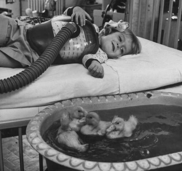 这些照片也许不会出现在历史书上，但却是时代忠实的记录