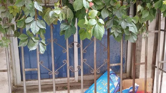 门卫值班室，爷孙三人死亡,初步确定煤气中毒。