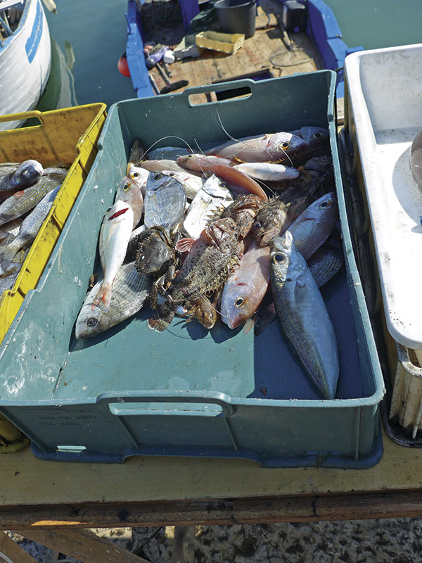 吃货在秋天冲向意大利