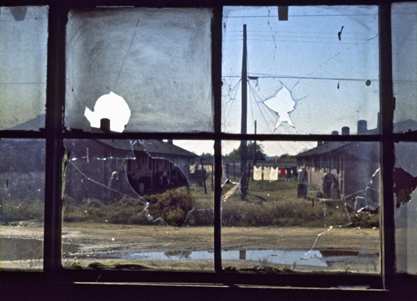 眼光|卖血换胶卷，吃猫粮过活，70年代拍出这样的美国