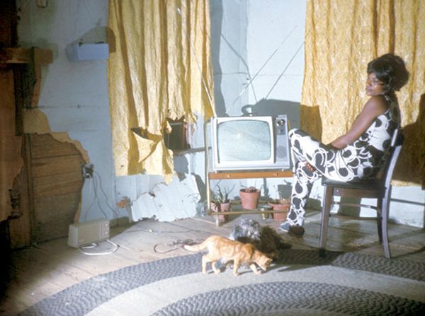 眼光|卖血换胶卷，吃猫粮过活，70年代拍出这样的美国