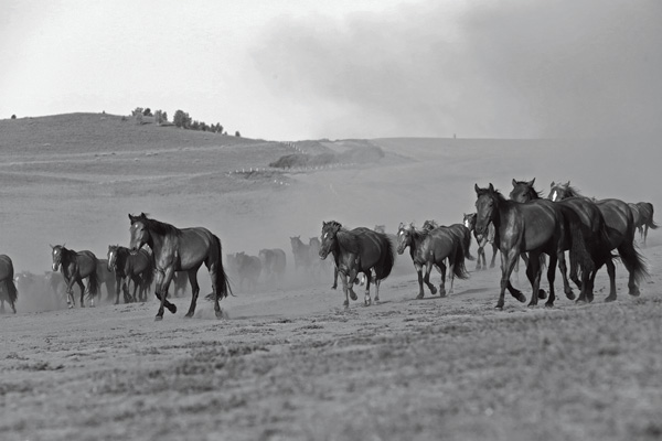 英雄驶诗：重走伟大的出塞之路
