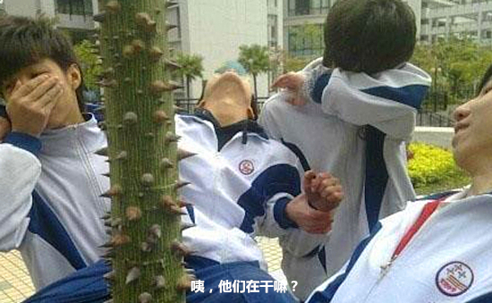 澎湃联播|那些年我们上过的奇葩选修课