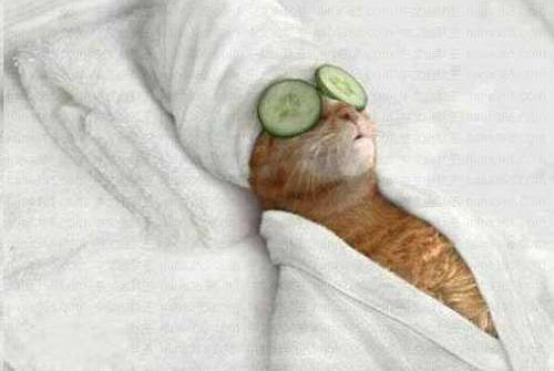 澎湃联播|有一种上头条的方式叫做“把自己睡了”