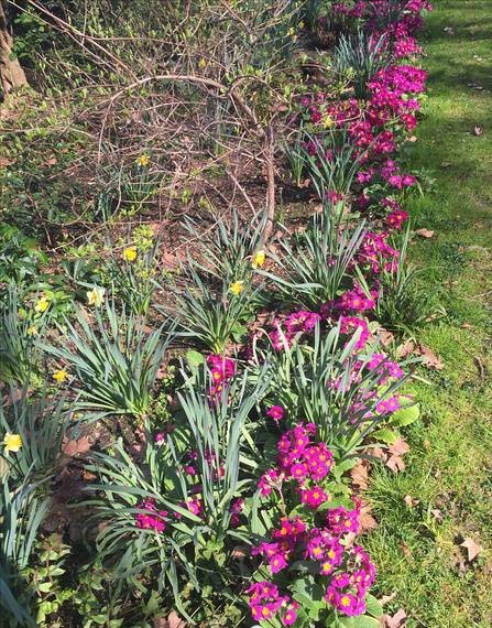 张佳玮 | 跑步时，为什么会情不自禁笑出来？