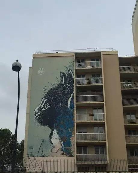 张佳玮 | 跑步时，为什么会情不自禁笑出来？