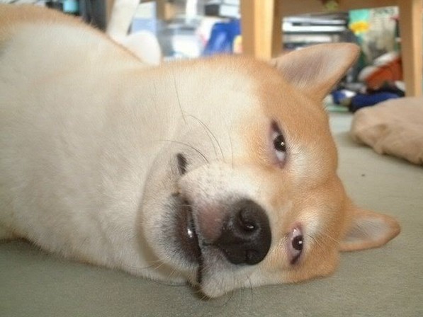 澎湃联播|当个学生，真不容易