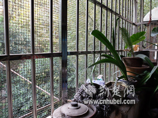 19岁自闭症外孙